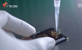 首页-MG视讯厅真人官方网站