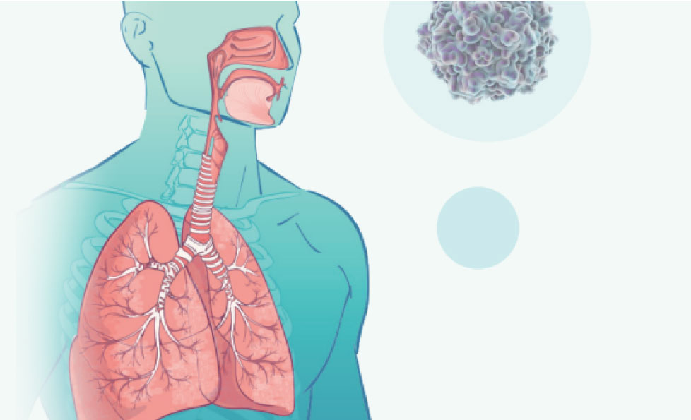 首页-MG视讯厅真人官方网站