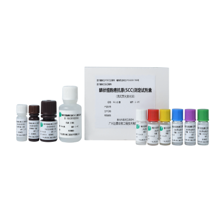 首页-MG视讯厅真人官方网站