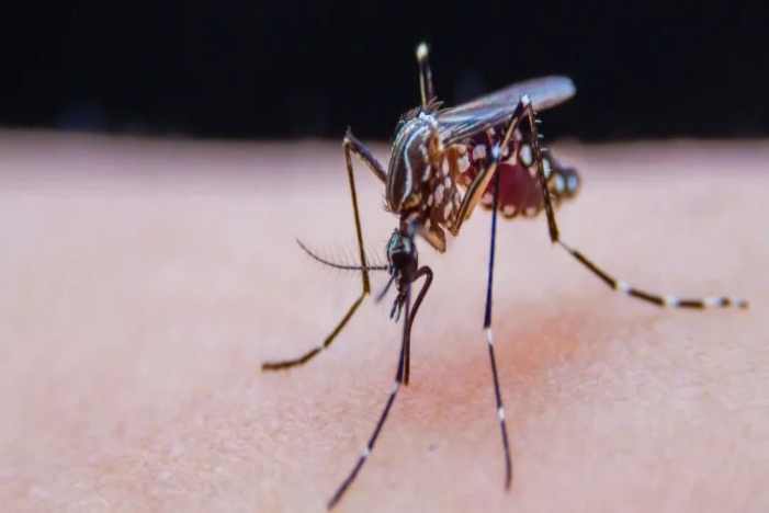 首页-MG视讯厅真人官方网站